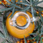 sea-buckthorn-2798599_960_720